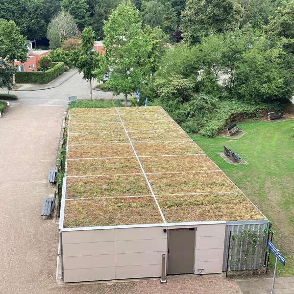 Shelters, Canopies, Walkways and Bin Stores | Timber Cycle Shelters | FalcoLok-600 Cycle Store | image #9 |  Cycle Shelter with Green Sedum Roof